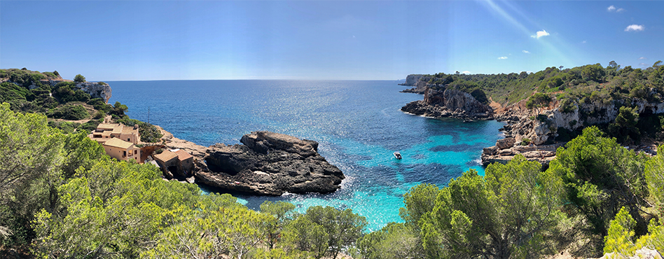 Deep blue water leading to the horizon with the island and trees in the foreground